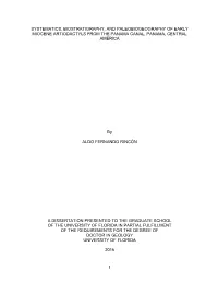University of Florida Thesis Or Dissertation