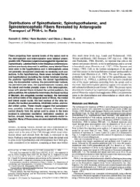Distributions of Spinothalamic, Spinohypothalamic, and Spinotelencephalic Fibers Revealed by Anterograde Transport of PHA-L in Rats