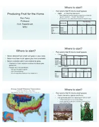 Planting and Aftercare of New Trees