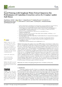 Seed Priming with Sorghum Water Extract Improves the Performance of Camelina (Camelina Sativa (L.) Crantz.) Under Salt Stress