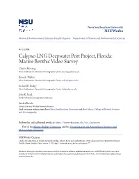 Calypso LNG Deepwater Port Project, Florida: Marine Benthic Video Survey Charles Messing Nova Southeastern University Oceanographic Center, Messingc@Nova.Edu