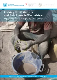 Curbing Illicit Mercury and Gold Flows in West Africa: Options for a Regional Approach
