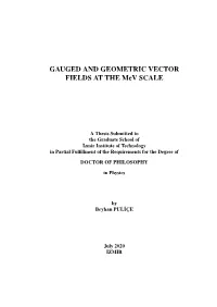 GAUGED and GEOMETRIC VECTOR FIELDS at the Mev SCALE