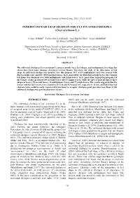 INHERITANCE of LEAF SHAPE in the CULTIVATED CHICKPEA (Cicer Arietinum L.)