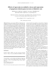 Effects of Apocynin on Oxidative Stress and Expression of Apoptosis-Related Genes in Testes of Diabetic Rats