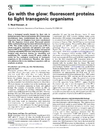 Go with the Glow: Fluorescent Proteins to Light Transgenic Organisms