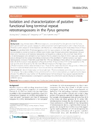 Isolation and Characterization of Putative Functional Long Terminal