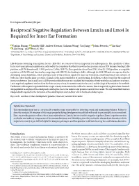 Reciprocal Negative Regulation Between Lmx1a and Lmo4 Is Required for Inner Ear Formation