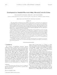 Tornadogenesis in a Simulated Mesovortex Within a Mesoscale Convective System