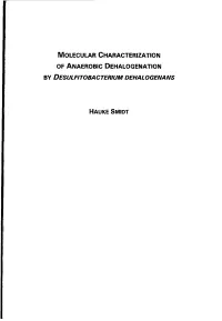 Molecular Characterization of Anaerobic Dehalogenation by Desulfitobacterium Dehalogenans
