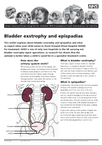 Bladder Exstrophy and Epispadias