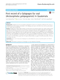 First Record of a Galapagos Fur Seal (Arctocephalus Galapagoensis) In