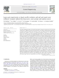 Large-Scale Experiments on Beach Profile Evolution and Surf And