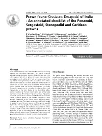 Prawn Fauna (Crustacea: Decapoda) of India - an Annotated Checklist of the Penaeoid, Sergestoid, Stenopodid and Caridean Prawns