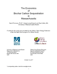 Report We Consider Only Agricultural Uses for Biochar, Though Biochar Also Has Applications in Filtration, Environmental Remediation, Etc