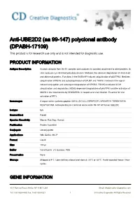 Anti-UBE2D2 (Aa 99-147) Polyclonal Antibody (DPABH-17109) This Product Is for Research Use Only and Is Not Intended for Diagnostic Use
