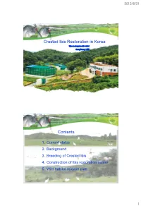D-3-4) Crested Ibis Restoration in Korea