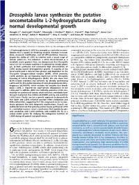 Drosophila Larvae Synthesize the Putative Oncometabolite L-2-Hydroxyglutarate During Normal Developmental Growth