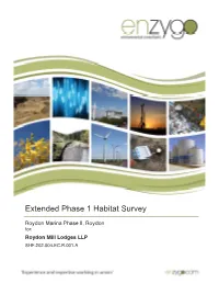 Extended Phase 1 Habitat Survey