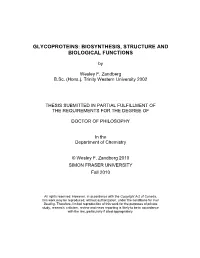 Glycoproteins: Biosynthesis, Structure and Biological Functions