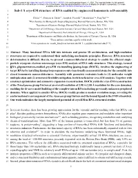 Sub-3 Å Cryo-EM Structure of RNA Enabled by Engineered Homomeric Self-Assembly 2 3 Di Liu1,2,‡, François A