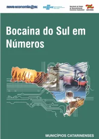 Bocaina Do Sul Em Números