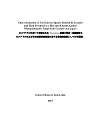 Characterization of Trichoderma Species Isolated in Ecuador and Their Potential As a Biocontrol Agent Against Phytopathogenic Fungi from Ecuador and Japan