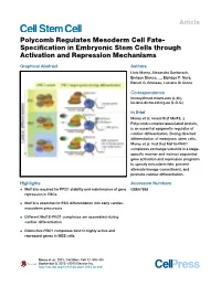Specification in Embryonic Stem Cells Through Activation and Repression
