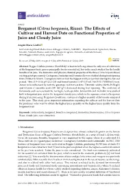 Bergamot (Citrus Bergamia, Risso): the Eﬀects of Cultivar and Harvest Date on Functional Properties of Juice and Cloudy Juice