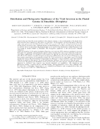Distribution and Phylogenetic Significance of the 71-Kb Inversion