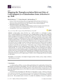 Mapping the Transglycosylation Relevant Sites of Cold-Adapted -D