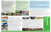 2018 Spokane Parks and Recreation Annual Report