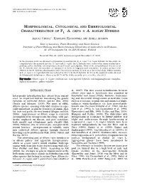 Morphological, Cytological and Embryological Characterization of F1 A