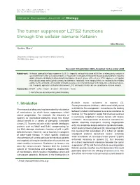 The Tumor Suppressor LZTS2 Functions Through the Cellular Samurai Katanin