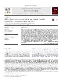 BDNF-Induced Local Protein Synthesis and Synaptic Plasticity