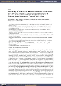 Modeling of Stochastic Temperature and Heat Stress Directly Underneath Agrivoltaic Conditions with Orthosiphon Stamineus Crops Cultivation