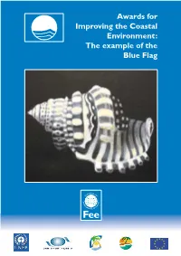 The Example of the Blue Flag