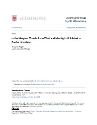 Thresholds of Text and Identity in US-Mexico Border Literature