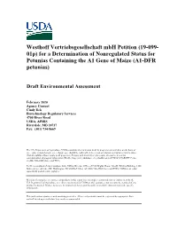 19-099- 01P) for a Determination of Nonregulated Status for Petunias Containing the A1 Gene of Maize (A1-DFR Petunias)