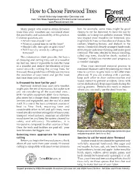How to Choose Firewood Trees