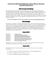 Focusing-Oriented Therapy and Complex Trauma Training Program