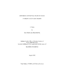 AMPHIBIAN and REPTILE TRADE in TEXAS: CURRENT STATUS and TRENDS a Thesis by HEATHER LEE PRESTRIDGE Submitted to the Office of Gr