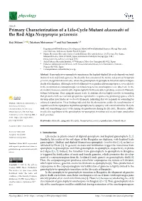 Primary Characterization of a Life-Cycle Mutant Akasusabi of the Red Alga Neopyropia Yezoensis