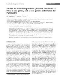 Studies on Schismatoglottideae (Araceae) of Borneo XI: Ooia, a New Genus, and a New Generic Delimitation for Piptospatha