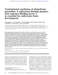 Translational Regulation of Glutathione Peroxidase 4 Expression Through Guanine- Rich Sequence-Binding Factor 1 Is Essential for Embryonic Brain Development