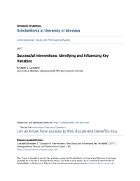 Identifying and Influencing Key Variables