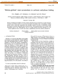 Molten-Globule’ State Accumulates in Carbonic Anhydrase Folding