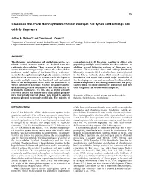 Clones in the Chick Diencephalon Contain Multiple Cell Types and Siblings Are Widely Dispersed