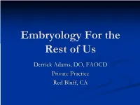 Embryology for the Rest of Us