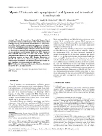 Myosin 1E Interacts with Synaptojanin-1 and Dynamin and Is Involved in Endocytosis